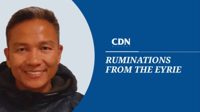 Why Trees Matter: Impact on Cities and Future Outlook