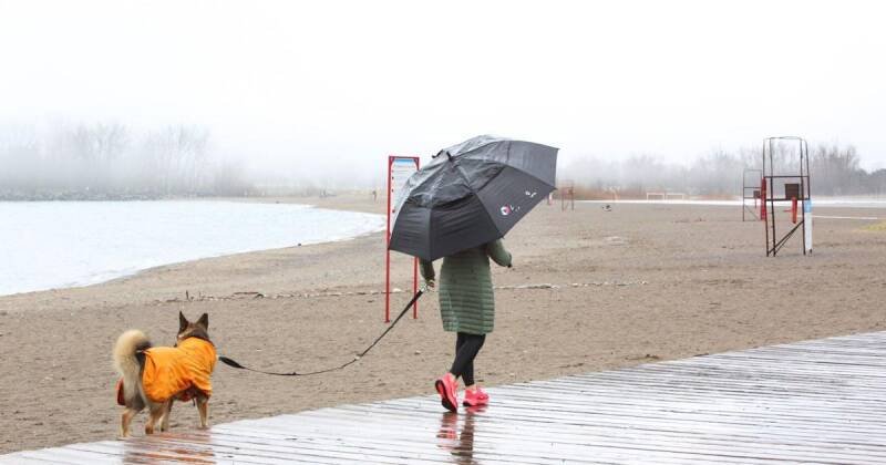 Toronto Weather: Chance of Rain and Snow Flurries Sunday - What You Need to Know