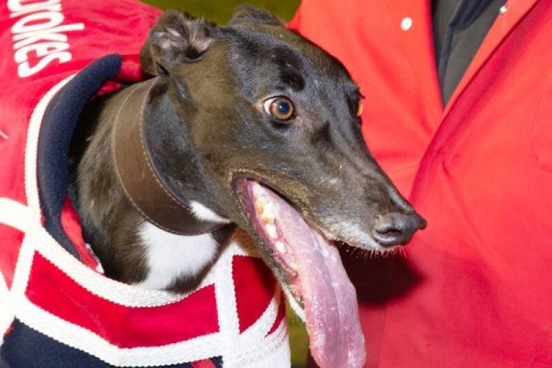 Aayamza Shazza Dominates Brighton Belle Semi-Finals: Analysis and Future Outlook