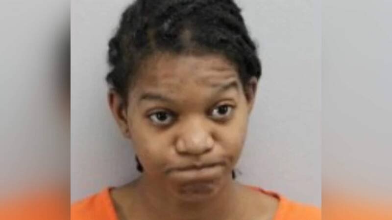 Driver Injures 8 Evading Parking Fee: A Deeper Look