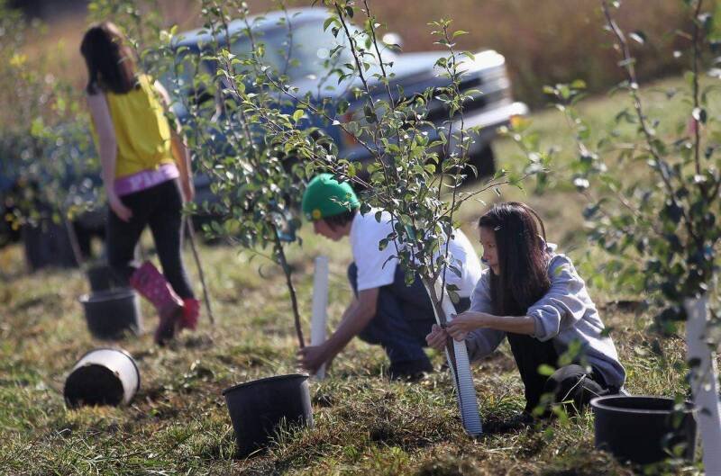 Earth Day 2024: Simple Ways to Celebrate and Protect Our Planet