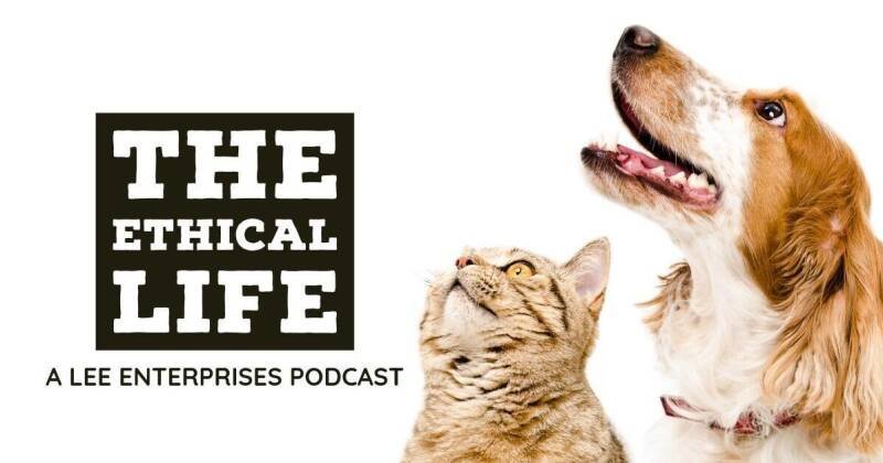 The Ethics of Pet Ownership: What Our Treatment of Animals Says About Us