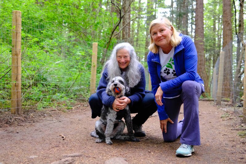 PKOLS Fencing Sparks Controversy: What it Means for Saanich Dog Owners