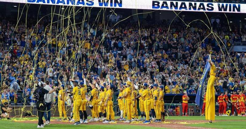 Connecticut Native Connor Harris Finds Joy and Success with Savannah Bananas