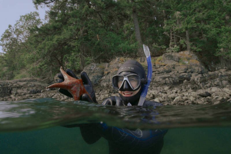 Victoria Filmmaker Explores Korean Roots and Ocean Conservation in New Series