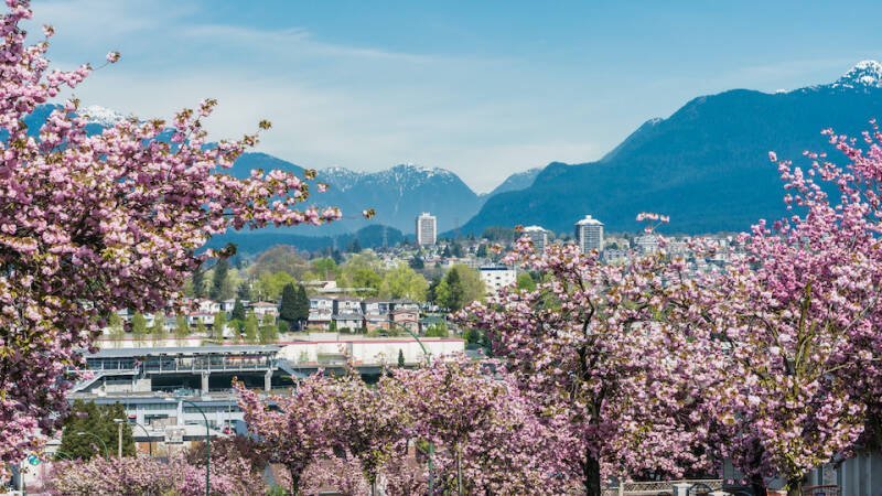Metro Vancouver Weather Forecast: Sunny Skies and Warm Temperatures