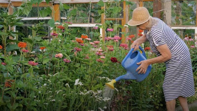 Mulching 101: Choosing the Right Materials for a Thriving Garden