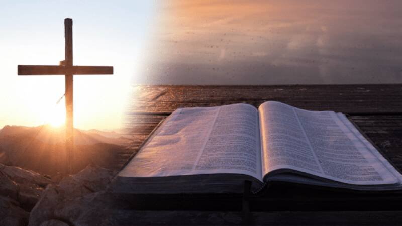 Daily Gospel April 25, 2026: Understanding the Great Commission