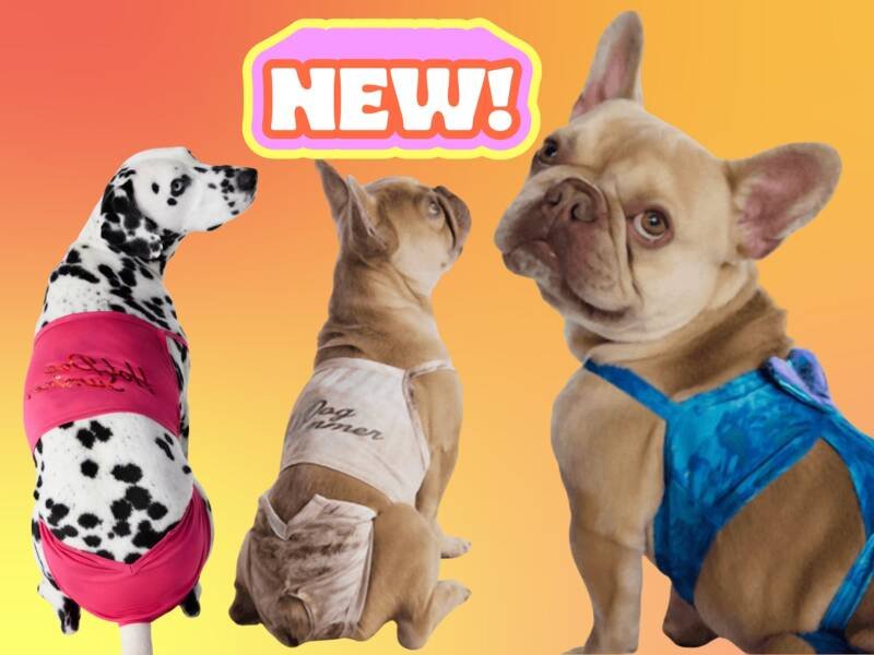 Megan Thee Stallion's Hot Girl Summer Dog Swimsuits Back at Walmart: Shop Now!