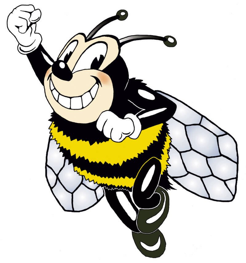 Understanding County Questions on the 2026 Ballot: A Voter's Guide