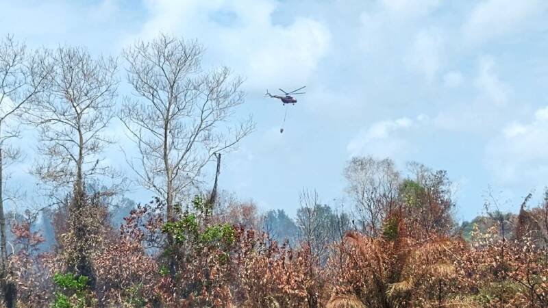 Peat Fire in Kuala Abang: Helicopter Deployed, What it Means for Residents