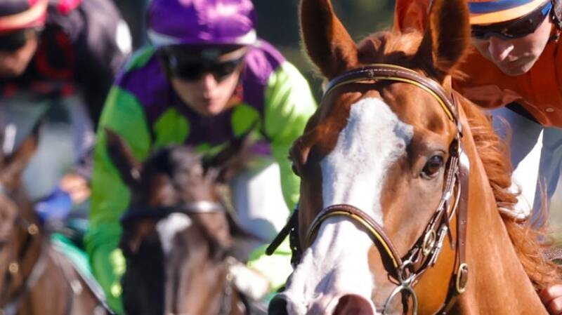 Port Macquarie Races: Expert Tips, Analysis & Future Outlook