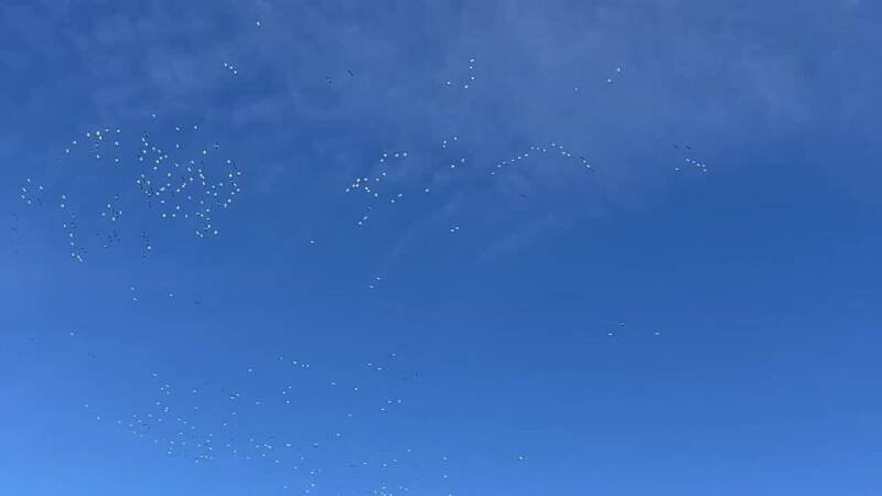 Fonner Park Horse Racing Dispute: What Happened and Why It Matters