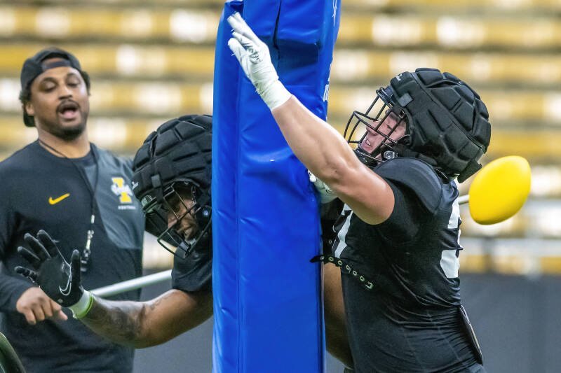 Idaho Vandals Defense: Building a New Identity Under Stalker and Hepburn