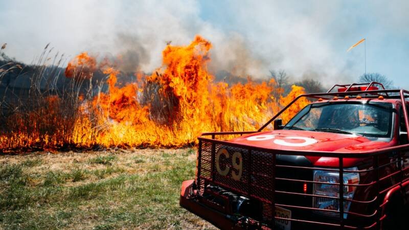 Saving Giant Sequoias: Wildfires Threaten Ancient Forests
