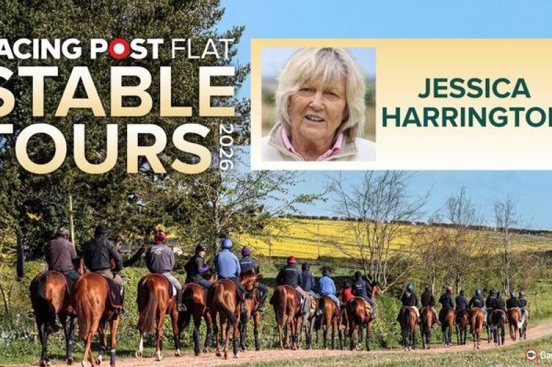 Aidan O'Brien Eyes Breeders' Cup Glory: A Trainer's Ambitions