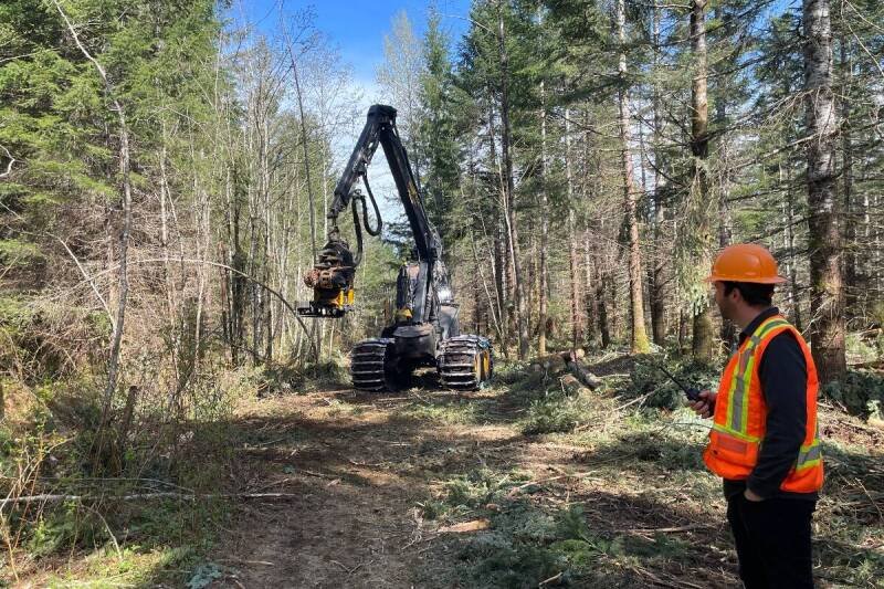 Homalco First Nation Tackles Wildfires with Forest Thinning: A Model for Prevention