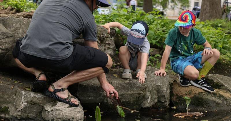 Earth Day Festival: Why Sustainability Matters for Future Generations