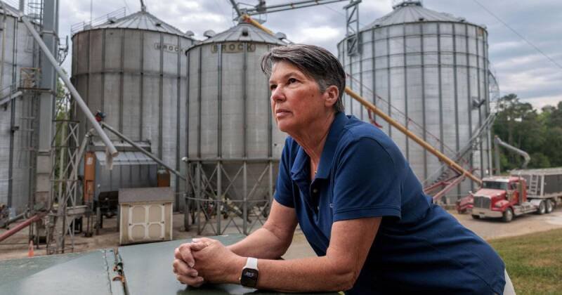 Trump Administration Soybean Board Appointments: Controversy and Implications