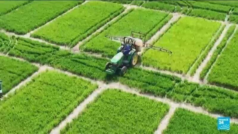 Trump Administration Soybean Board Appointments Spark Controversy: Gender Imbalance and Farmer Representation